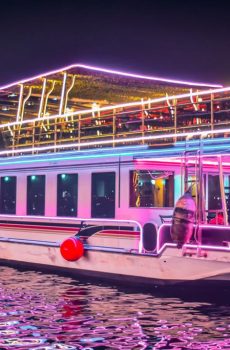 Marina Cruise from AED 99