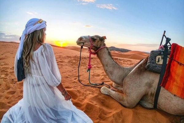 Desert Safari - Image 9