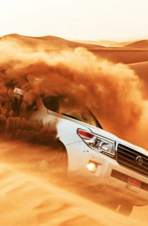 Desert Safari
