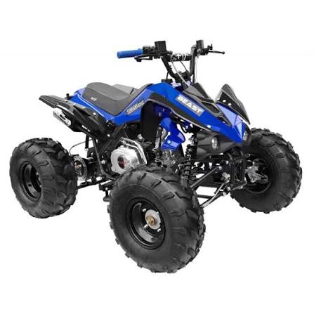 Quad Bike (Single) - Image 4